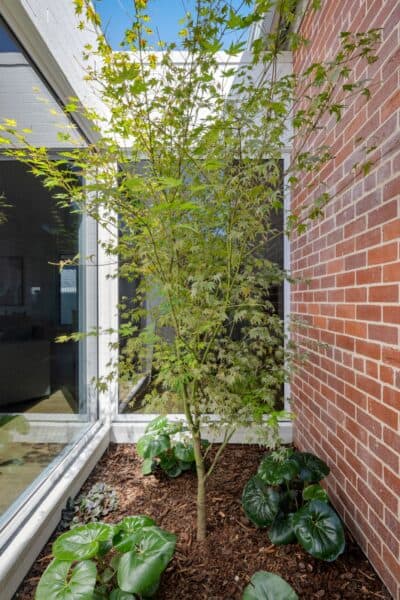 527 Guinea St, Albury-18
